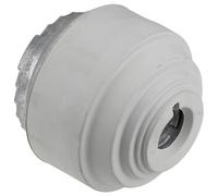 Cojinete de motor L/R para Mercedes Clase E W210 S210 E200 E230 E240 1995-1999