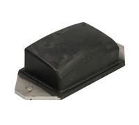 Cojinete de resorte, horquilla S-TR 1203142