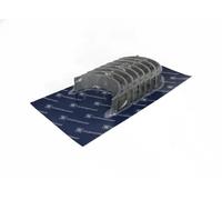 Cojinete del cigüeñal Kit 77683610 KOLBENSCHMIDT para MERCEDES-BENZ SETRA