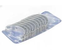 Cojinete del cigüeñal Kit 77983600 KOLBENSCHMIDT para OPEL RENAULT NISSAN