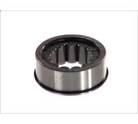 Cojinete, eje diferencial DT SPARE PARTS 1.17110 para 3 - series 8.476 1988-1989