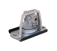 Cojinete, motor DELPHI TEM043 derecha