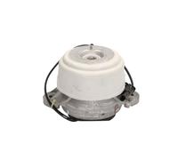 Cojinete, motor LEMFÖRDER 37541 01 derecha