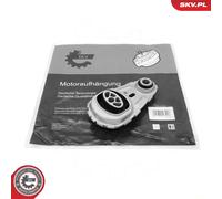 Cojinete Soporte Motor Trasero Inferior para Renault Scénic III 1.5 dCi