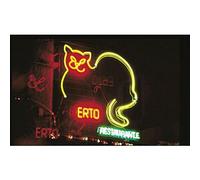 Cokin 091 Sueño 1 P