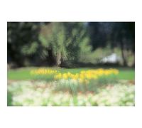 Cokin 093 Sueño 3 A