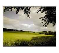 Cokin 125 Curso tabak 2 light A