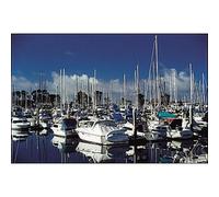 Cokin 164 Filtro polarizador circular P