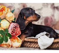 COKYIS 5D Diamond Painting Kit Completo flor de perro salchicha DIY Redondo Taladro Completo Cristal Pintura Diamante para Adultos/Hogar/Decoración/Regalo(40 * 50cm)