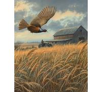 COKYIS 5D Kit de Pintura de Diamante Faisán volador Bricolaje Punto de Cruz Bordado Diamond Art Painting Kits, para Adultos Niños Decoración Pared Hogar(40 * 50cm)