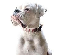 COKYIS 5D Kit de Pintura de Diamante perro boxer Bricolaje Punto de Cruz Bordado Diamond Art Painting Kits, para Adultos Niños Decoración Pared Hogar(40 * 50cm)