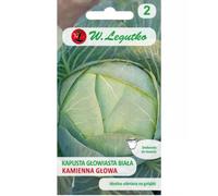 Col blanca Kamienna Głowa - tardía