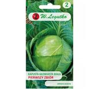 Col blanca Pierwszy Zbiór - temprana