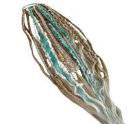 Cola de caballo elástica para rastas con cinta, extensiones de pelo trenzadas a mano bohemias con perlas y colgantes, accesorios trenzados, para una cola de caballo en solo un minuto (A)