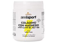 AMLSport Colágeno Con Magnesio+VIT.C+B1.B2.B6 Polvo Fresa 350gr
