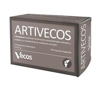 Colágeno Hidrolizado con Ácido Hialurónico | Artivecos | Ayuda al Cuidado de los Huesos y las Articulaciones | Propiedades Antioxidantes | Complemento Alimenticio | 120 Cápsulas