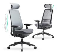 COLAMY Silla de Oficina ergonómica, Silla de Malla con Respaldo Alto, Silla ejecutiva para Ordenador con Soporte Lumbar, reposacabezas Ajustable y reposabrazos 4D, posesión Deslizante, Color Negro y