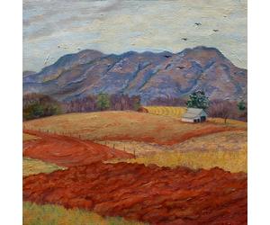 Colby T. Helms Tales Of Misfortune (CD) (Importación USA)