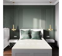 Colchón de látex natural de 120 x 190 cm, suave, transpirable, cómodo para aliviar el dolor de espalda, tapete de juego plegable y cama de invitados portátil para camping, soporte de 2,5 cm de grosor