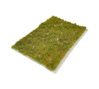 Colcolo Modelo de césped de simulación, Modelado de césped Artificial, dioramas de Terreno para Juegos, Plantas en Miniatura, Modelos de para ferrocarriles, C