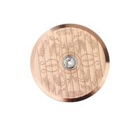 Colcolo Movimiento mecánico automático para reloj de pulsera, rotor de, accesorios profesionales, paloma decorativa, peso oscilante para 6R35