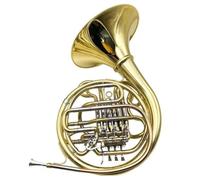 Colcolo Trompa Francesa Cuerno de Orquesta Instrumento Musical Trompa de Latón con 4 Válvulas Rotativas de Acción Rápida y Lateral Cuerpo Compacto y Gran