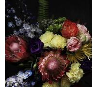 Cold Cave Fate in Seven Lessons (Vinyl) (Importación USA) (PRESALE 16/01/2026)