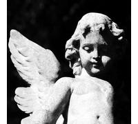 Cold Cave - Passion Depression (Black Glitter Vinyl)