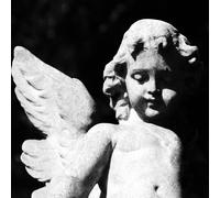 Cold Cave - Passion Depression (Black Glitter Vinyl)