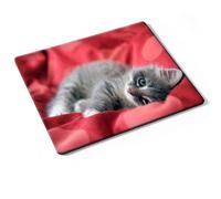 Colección de accesorios para personalizar tu ordenador portátil, adhesivo o alfombrilla a elegir multicolor Chats 10016 alfombrilla de ratón