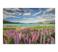 Colección de alta calidad: puzzle de 1500 piezas Lupinos en flor en el lago Tekapo