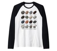 Colección de asteroides Amantes de la Ciencia Espacial y la astronomía Camiseta Manga Raglan