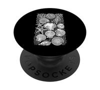 Colección De Conchas Marinas Océano PopSockets PopGrip Adhesivo
