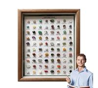 Colección De Cristales: Piedras Preciosas En Bruto, De Piedra | Exhibición De En Bruto En Marco De Madera, De Piedra Clásicos, Especímenes Minerales Naturales Para Decoración De