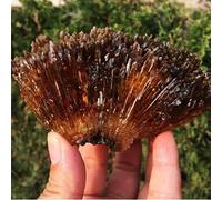 Colección de gemas de cristal de calcita de ámbar amarillo natural, colección de especímenes minerales de roca rugosa para decoración del hogar, 300-350 g