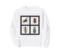 Colección de Ilustraciones de escarabajos Hermosos escarabajos Sudadera