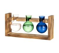 Colección de jarrones con Soporte de Madera, recipientes de Vidrio de Tonos, Forma de Acceso Agua para enraizar esquejes, Estilo de estantería, decoración de Apartamentos, florero de de