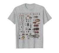Colección Insectos Especies Bichos Gráfico Entomología Camiseta, Hombre, Gris Jaspeado, 4XL