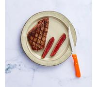 Colección Lion Sabatier Serie 197 La colección Serie 197 ofrece una amplia selección de cuchillos que se adaptan a todas sus necesidades culinarias, desde cuchillos para pelar has