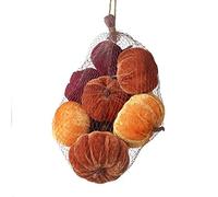 Colección otoñal de calabazas de terciopelo para exhibiciones decorativas y Halloween