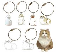 Colección Transparente de Llavero para el Cabello de Gato, Colgante de Vida de Pieles de Gato, Serie de Pieles de piedad de Bricolaje, alimentador de Pieles de Mascotas (6 Tipo NO.3 and NO.5 2 Piezas