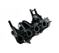 NTY Colector de Admisión Módulo para Dacia Logan Ls _ 1.4 Renault Kangoo KC0/1_