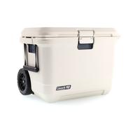 Coleman Pro 55 QT Caja fría Talla única Beige