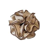 Coleteros Pelo Mujer 2pc Vintage Versatile Striped Fabric Hair Scrunchie, Ponytail Tie For The Back Of The Head, Stylish para Accesorios(Round khaki stripes)