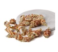 Colgante de concha natural de concha de mar para hacer joyas, collar, pulsera, aretes, estilo17, 2 piezas