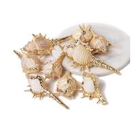 Colgante de concha natural de concha de mar para hacer joyas, collar, pulsera, aretes, estilo23, 2 piezas