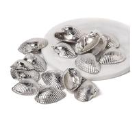 Colgante de concha natural de concha de mar para hacer joyas, collar, pulsera, aretes, estilo24, 5 piezas