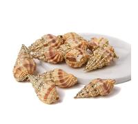 Colgante de concha natural de concha de mar para hacer joyas, collar, pulsera, aretes, estilo25, 2 piezas