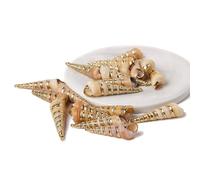 Colgante de concha natural de concha de mar para hacer joyas, collar, pulsera, aretes, estilo27, 2 piezas