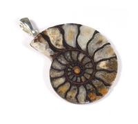 Colgante de plata 925 de Amonite Fossil ~ 30-35 mm
